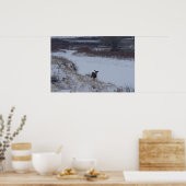 リバーバレーのD16ミューレディアドー ポスター (キッチン)