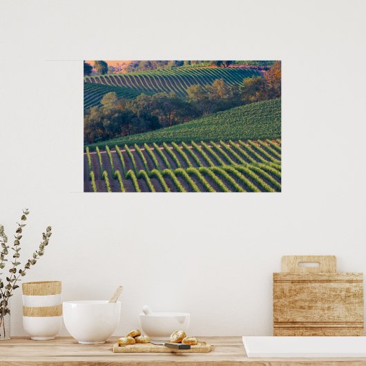 リバーバレーロシアののブドウ畑 ポスター (キッチン)