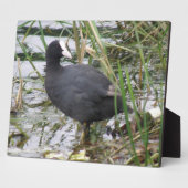 リバーバンク・プラークのクーター フォトプラーク (側面)