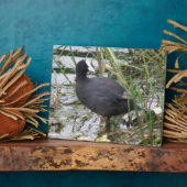 リバーバンク・プラークのクーター フォトプラーク (側面)