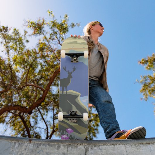 リバーピークセレニティ スケートボード (室外1)