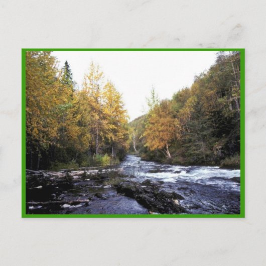 リバーロシアの ポストカード (正面)