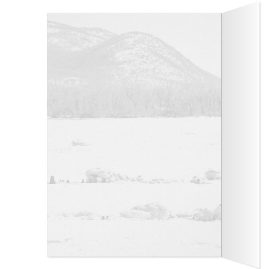 リバー凍ってい (内側 (左))