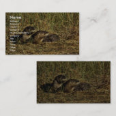 リバー·オッターズ 名刺 (正面/裏面)