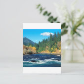 リバー・ローグ シスキュー・フォレスト オレゴン ポストカード (スタンド正面)