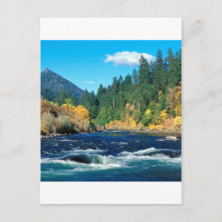 リバー・ローグ シスキュー・フォレスト オレゴン ポストカード