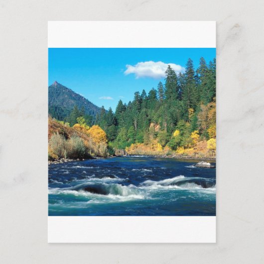 リバー・ローグ シスキュー・フォレスト オレゴン ポストカード (正面)