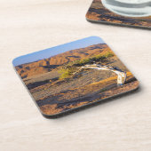 リヒターズベルト，節だらけの木と砂漠の地 コースター (左側)