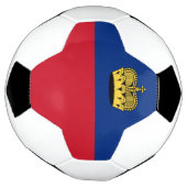 リヒテンシュタインの旗 サッカーボール (回転)