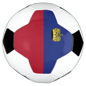 リヒテンシュタイン国旗 サッカーボール (回転)