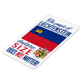 リヒテンシュタイン磁石 マグネット (左側)