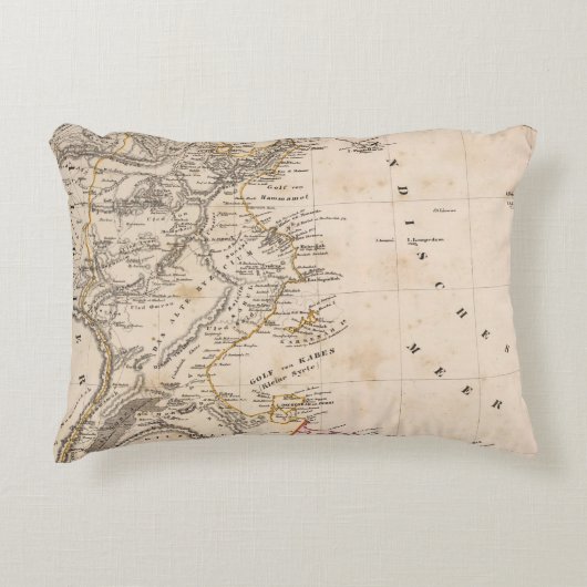 リビア アクセントクッション (正面)