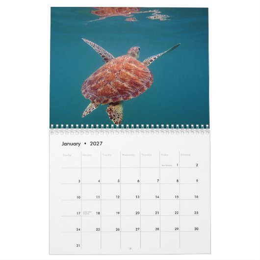 リビエラのマヤのメキシコのカレンダー カレンダー (1月 2027)