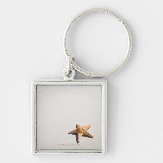 リビエラのマヤ キーホルダー (正面)