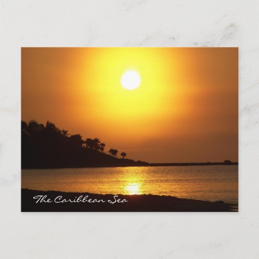 リビエラマヤカリブのメキシコ海アットドーン ポストカード (正面)