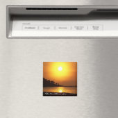 リビエラマヤカンクンメキシコカリブのシーマグネット マグネット (インサイチュ (食洗機))