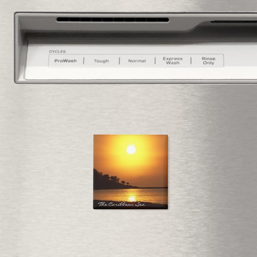 リビエラマヤカンクンメキシコカリブのシーマグネット マグネット (インサイチュ (食洗機))