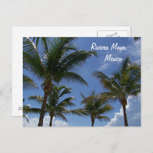 リビエラマヤカンクンメキシコパカリブのームの木 ポストカード (正面/裏面)