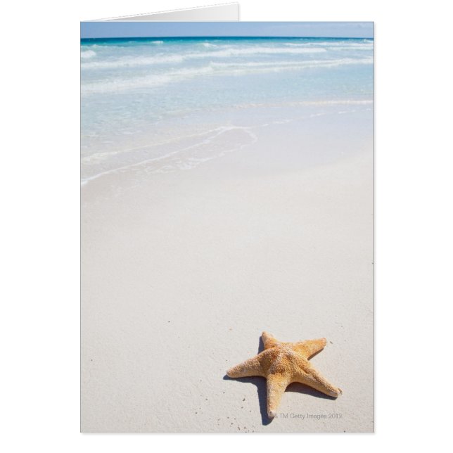 リビエラマヤ (正面)