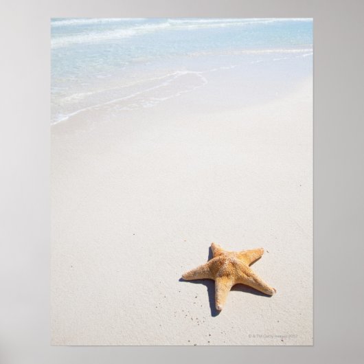 リビエラマヤ ポスター (正面)