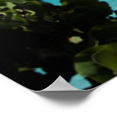 リビエラマヤ ポスター (角)