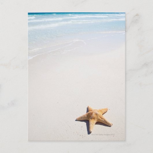 リビエラマヤ ポストカード (正面)