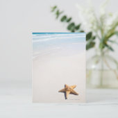 リビエラマヤ ポストカード (スタンド正面)