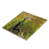 リビングウォータージョン4 感動的 タイル (側面)