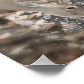 リビングウォーターズポスター ポスター (角)