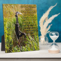 リビングウォーター感動的ジョン4