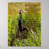 リビングウォーター感動的ジョン4 ポスター (正面)