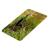 リビングウォーター感動的ジョン4 マグネット (左側)