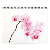 リビングカラー カレンダー (カバー)