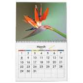 リビングカラー カレンダー (3月 2026)