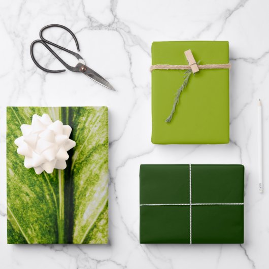 リビンググリーン環境にやさしラージ抱き枕 ラッピングペーパーシート (正面)