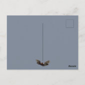 リビングストン飛んでいるキツネ ポストカード (裏面)