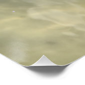 リビングファイティングコンチシーシェル ポスター (コーナー)