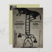 リビングロバのバランスを取る~はがき ポストカード (正面/裏面)