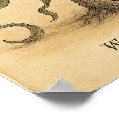 リビング化石美しい – 砂漠植物学ポスターアート ポスター (角)