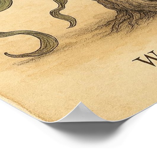 リビング化石美しい – 砂漠植物学ポスターアート ポスター (角)