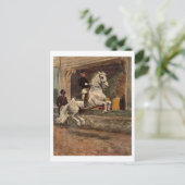 リピザンドレスセージ ポストカード (スタンド正面)