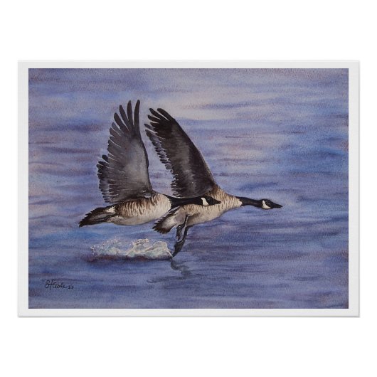 リフトオフ – カナディアンゲーゼ ポスター (正面)