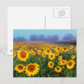 リフト霧、はがき ポストカード (正面/裏面)