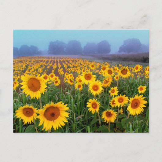 リフト霧、はがき ポストカード (正面)