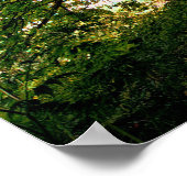 リフレッシュ自然ツリーお洒落サンライトフォトPo ポスター (角)