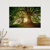 リフレッシュ自然ツリーお洒落サンライトフォトPo ポスター (キッチン)