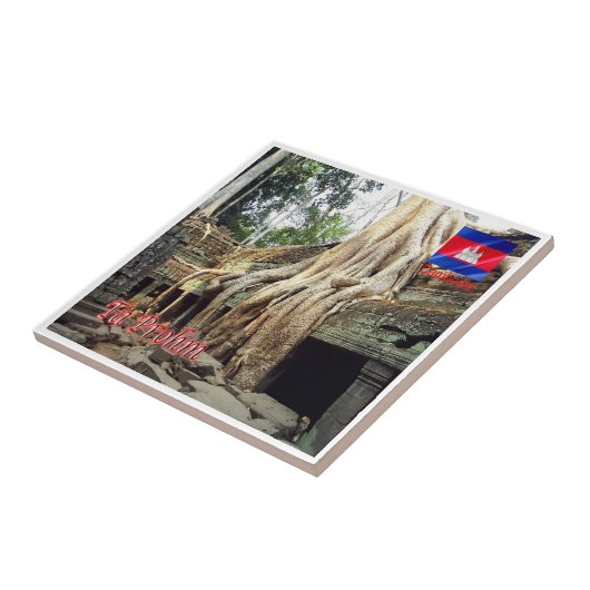 リフ。カンボジアKH、タプローム タイル (側面)