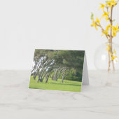 リブオークの木 カード (黄色い花)
