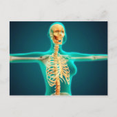 リブケージを示すメス上体のX線表示 ポストカード (正面)