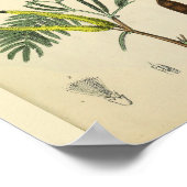 リブケージ胸骨解剖学プリント ポスター (角)